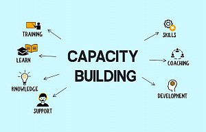 Capacity Building